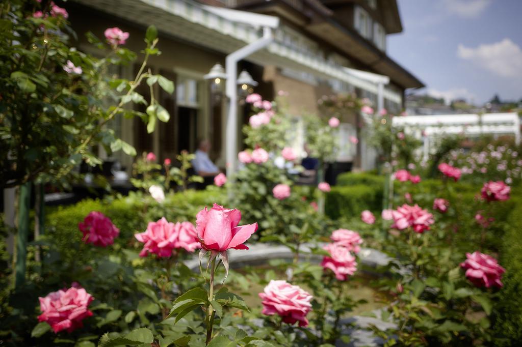 Landgasthof Hotel Roessli Lucerne Extérieur photo